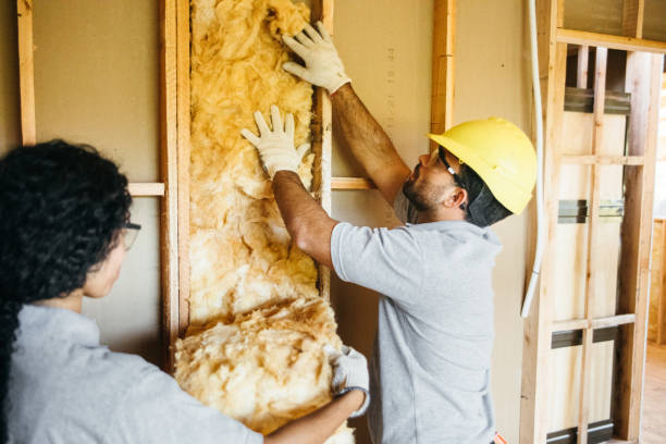 Best Soundproof Insulation  in Westland, MI